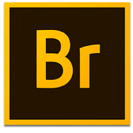 Adobe Bridge Icon