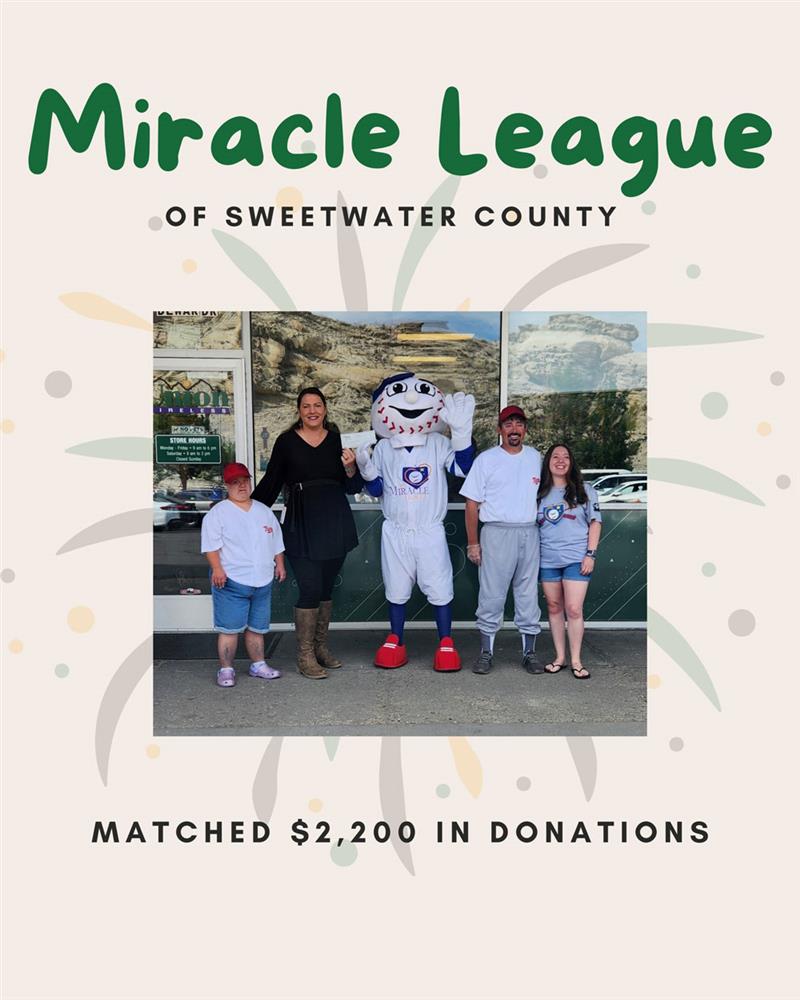 Miracle League slide 11